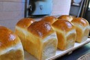 窯焼きパン　ラ・ブリク（奈良市）　知る人ぞ知る絶品パン　／奈良