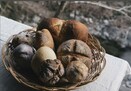 【発酵】東京唯一の“村”にある山奥パン屋さんの自家製酵母パン