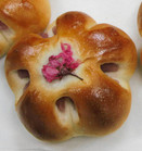 名前は「桜の思い」　思川桜酵母のパン　２６日から販売