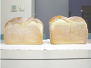山梨）「富士山酵母」でおいしいパン　富士山研で開発中