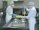 こだわりのパン、チーズ生産　障害者の工賃３倍増へ　ｎｏｎｏｎａファクトリーが開所、日本財団と鳥取県のプロジェクト