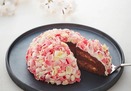 鎌倉ニュージャーマン「鎌倉山桜」鎌倉の山桜をモチーフにした艶やかなチョコレートケーキ 「かまくらカスター（さくら）」も登場