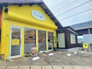 【松江市】新店ベーカリー『Coccole（コッコレ）』にはかわいいパンがいっぱい！